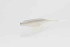Zoom Super Fluke Jr 4" — Albino, 10-Pack