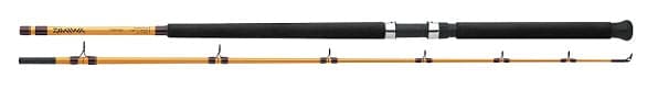 Daiwa FT Surf Spinning Rod — 10', 2-Piece Medium