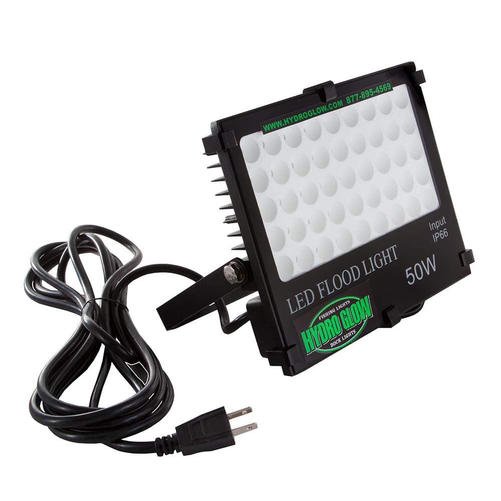 Hydro Glow FL50 Flood Light — Green, 50W