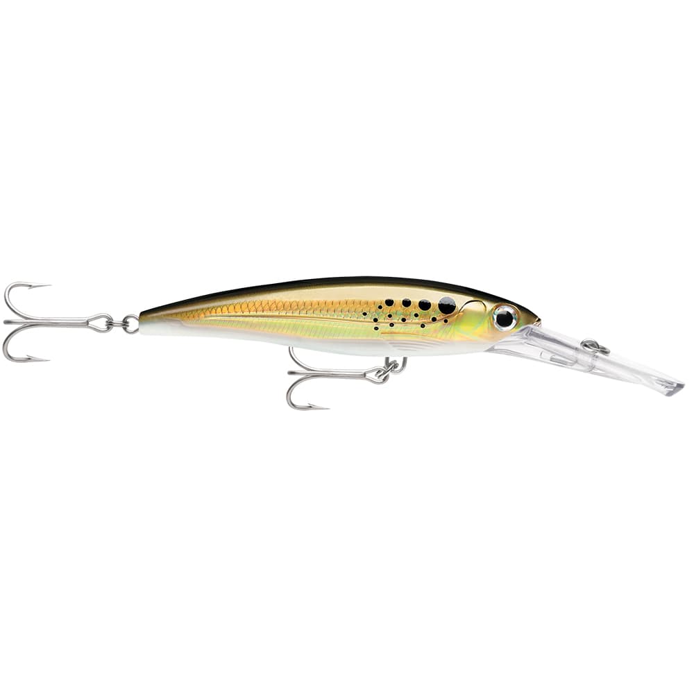 Rapala X-Rap Magnum 30 — Bunker
