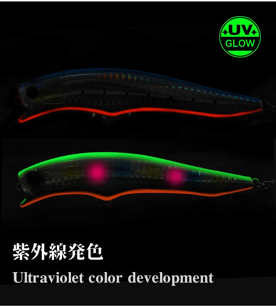 TSURINOYA 120F Ultra Long Casting Shallow Range Floating Minnow Beach Fishing Lure 120mm 20g 0-30cm GORGO Saltwater Hard Baits