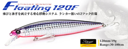 TSURINOYA 120F Ultra Long Casting Shallow Range Floating Minnow Beach Fishing Lure 120mm 20g 0-30cm GORGO Saltwater Hard Baits